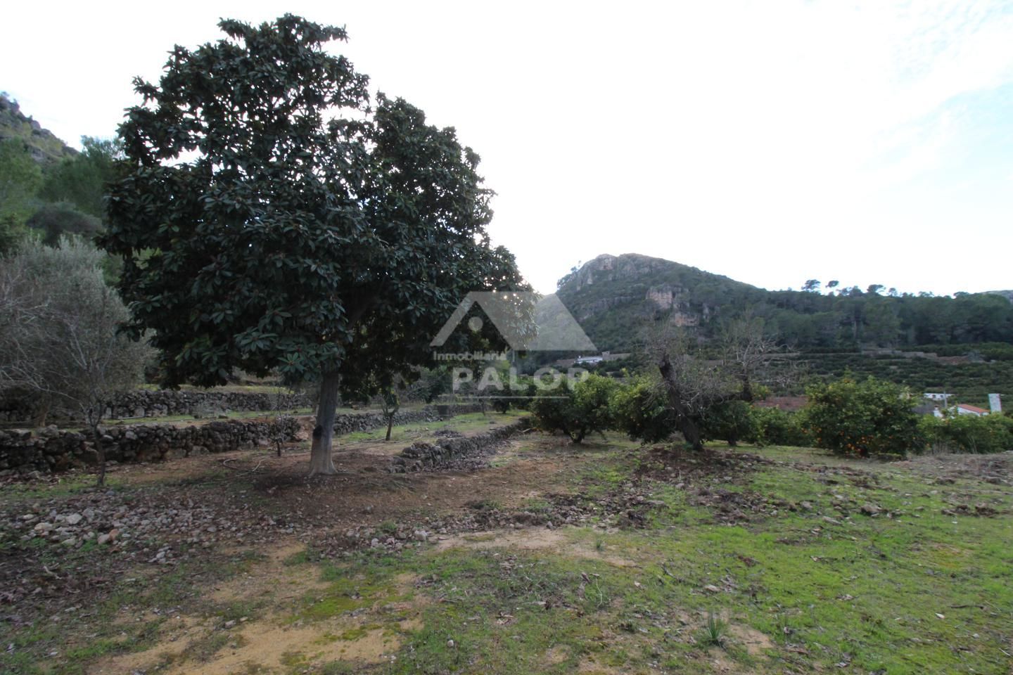 Residencial en venta en Partida Barranc de l'Herba