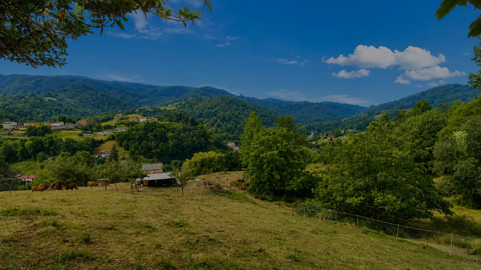 Houses for sale in Langreo  with Heating, Private garden and Parquet flooring