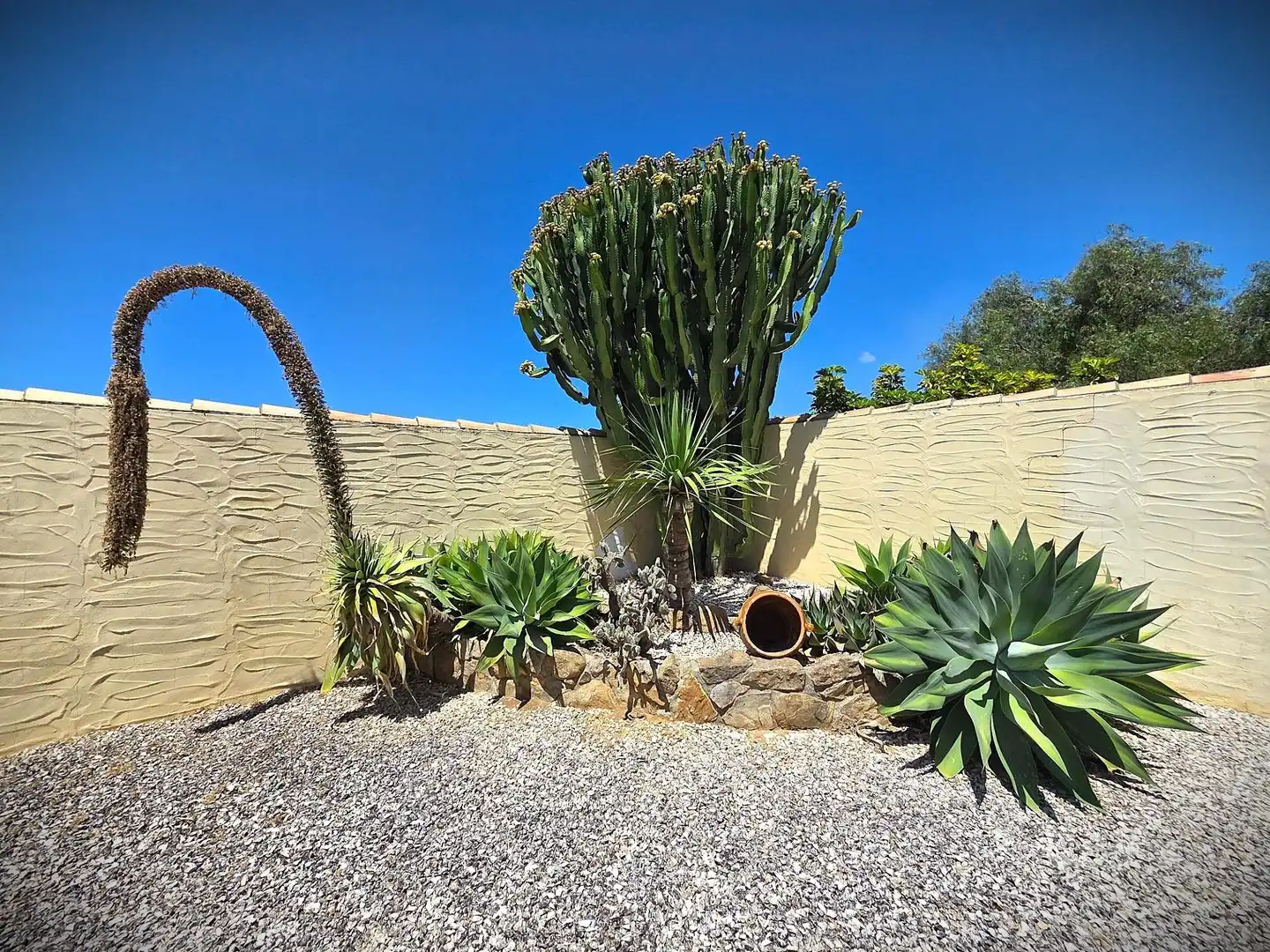Jardí de Casa o xalet en venda en Chiclana de la Frontera amb Jardí privat