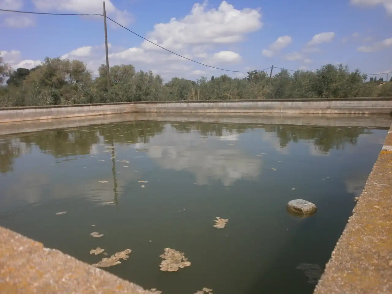 Rural land for sale in Constantí, imagen 3