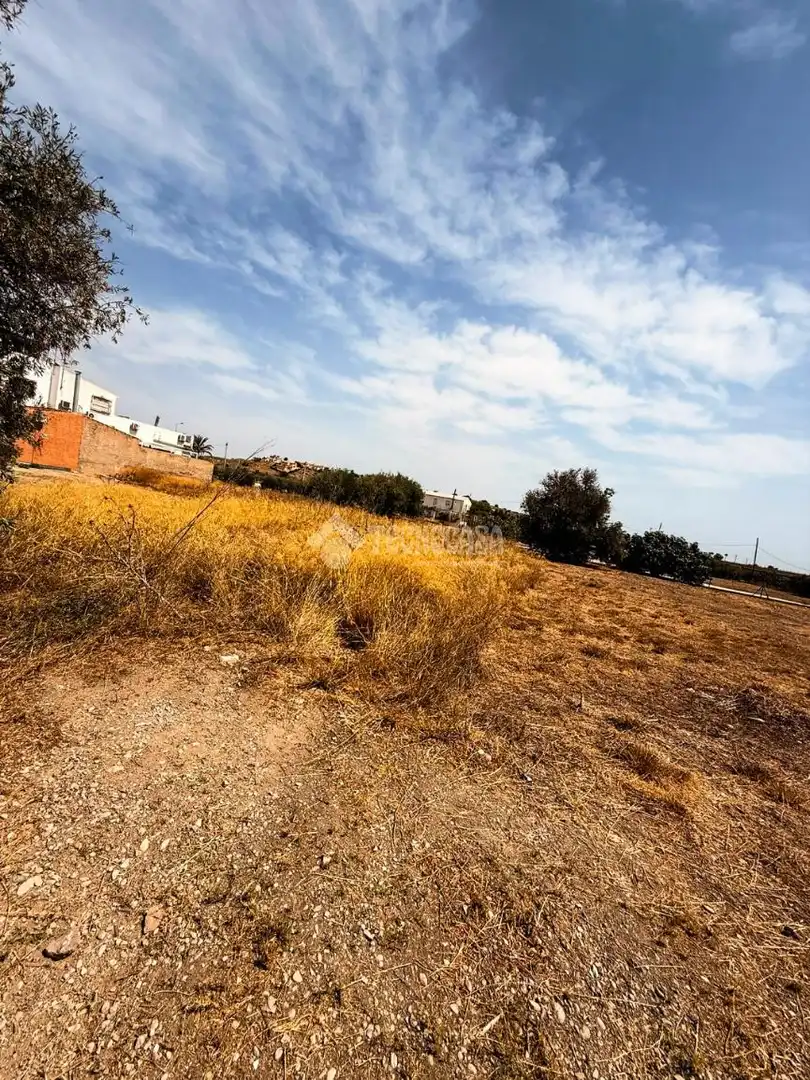Rural land for sale in Turre, imagen 4