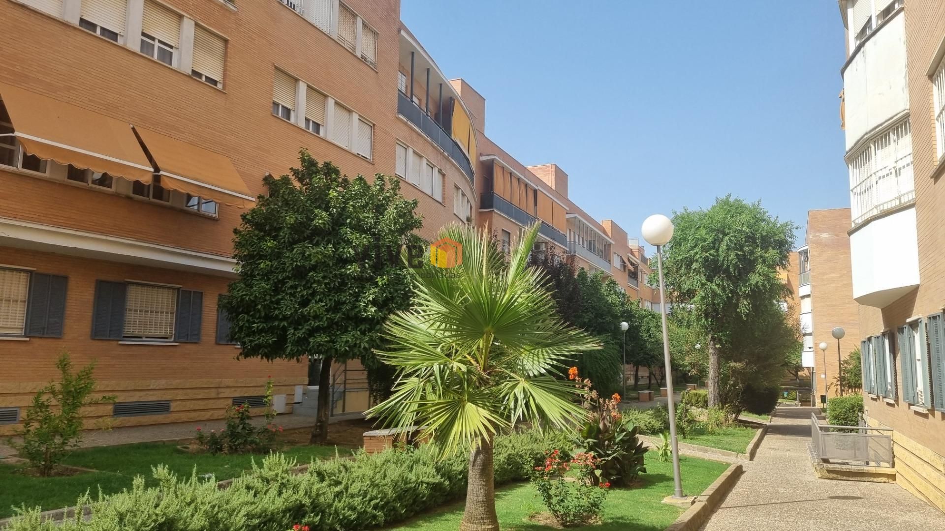 Exterior view of Flat to rent in Mairena del Aljarafe  with Terrace