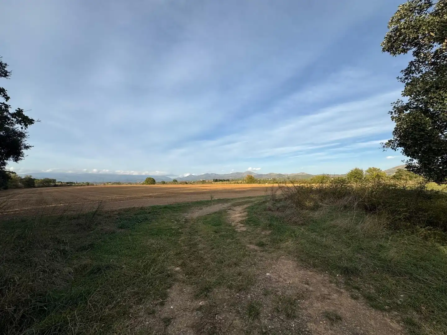 Rural land for sale in Garriguella, imagen 11