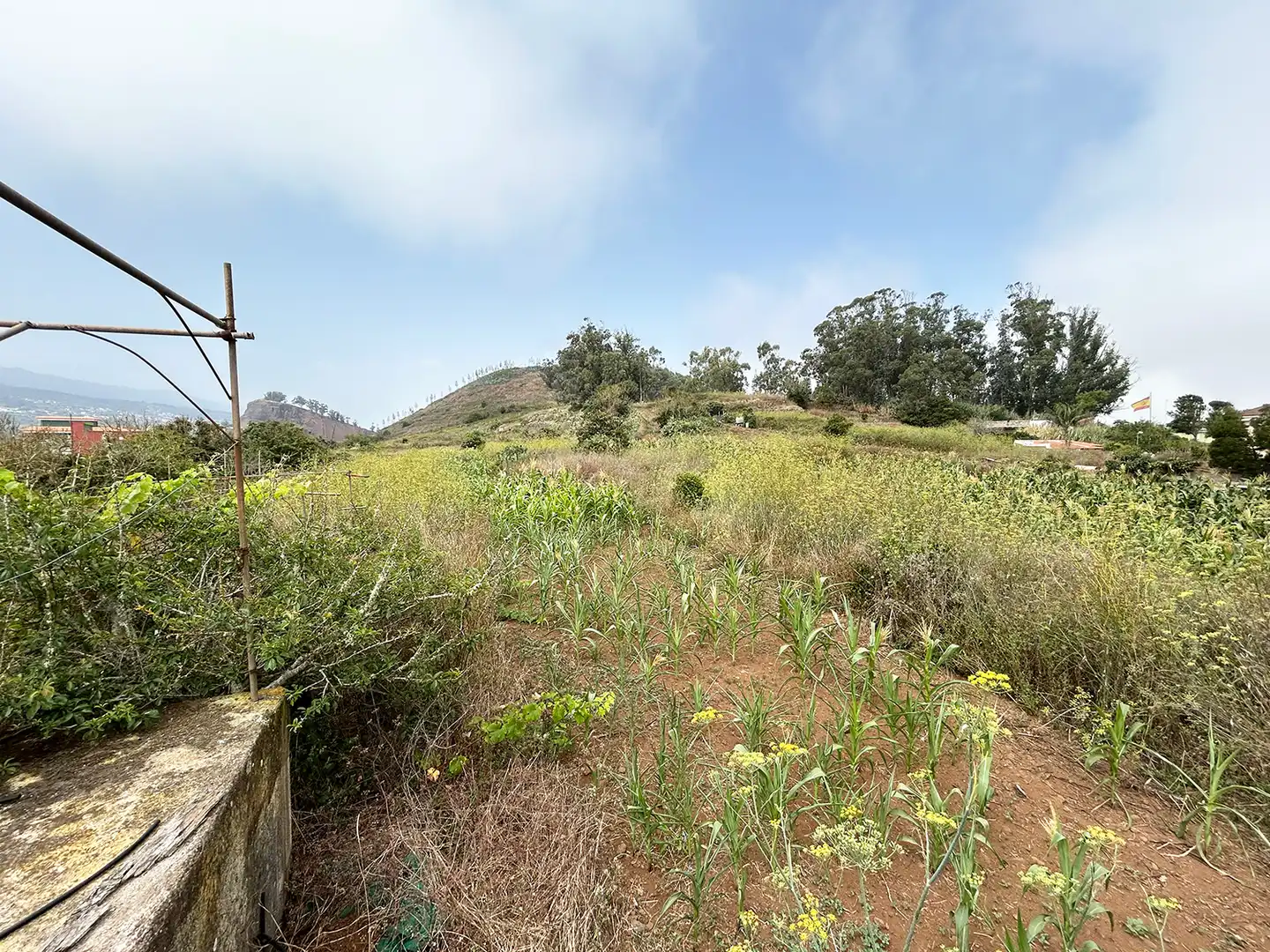 Country homes for sale in San Cristóbal de la Laguna