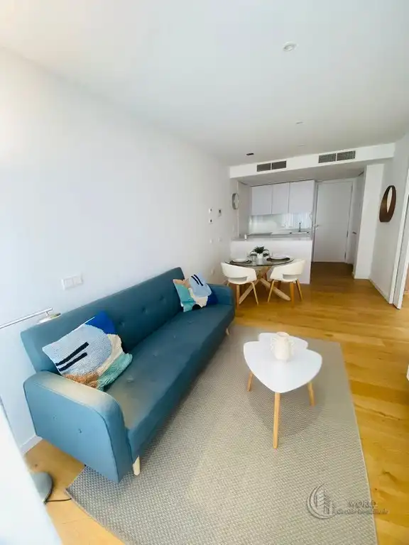 Sala de estar de Piso de alquiler en Madrid con Aire acondicionado, Calefacción y Jardín privado