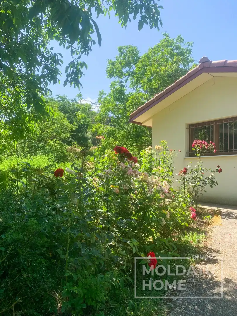 Jardín de Terreno en venta en Belascoáin
