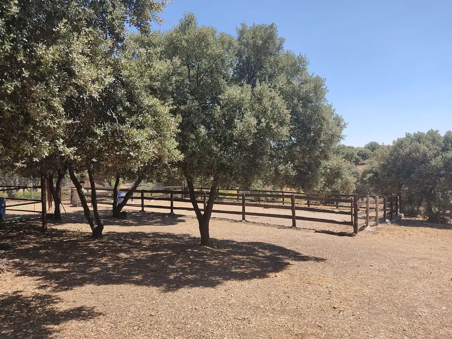 Vista exterior de Finca rústica en venda en Málaga del Fresno