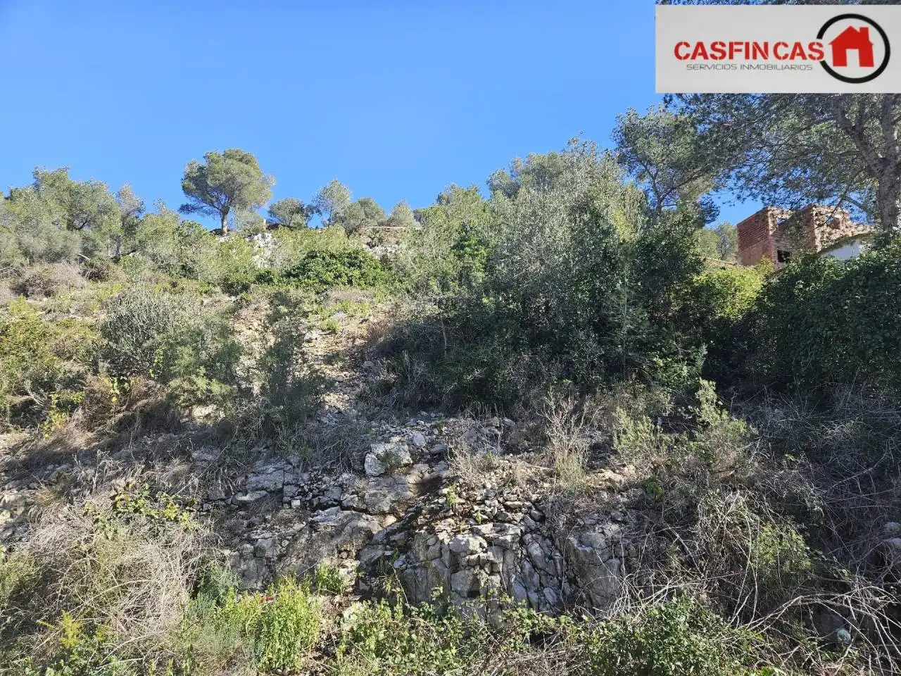 Rural land for sale in Pinos