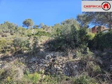 Terreno rustico in vendita a Pinos