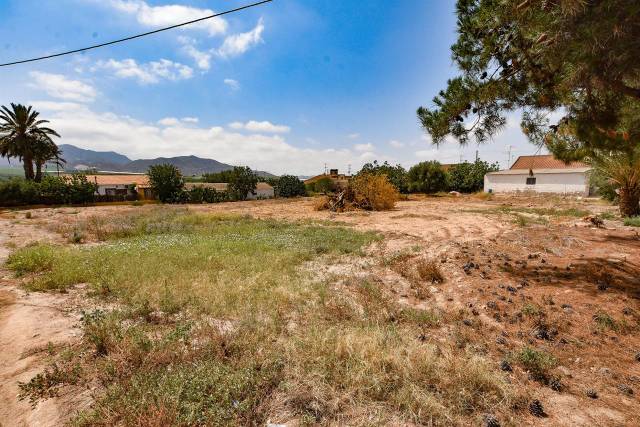 Terreno residencial en Venta en Pozo Higuera