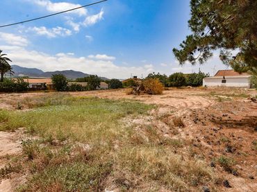 Terreni e lotti in vendita a Pedanías Sur