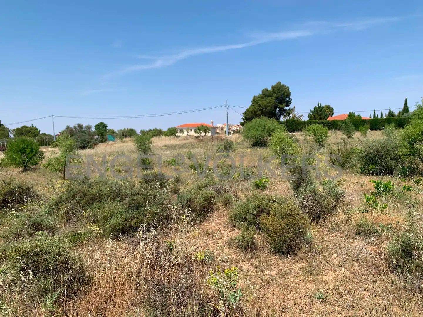 Terreny rústic en venda a Requena, imagen 13