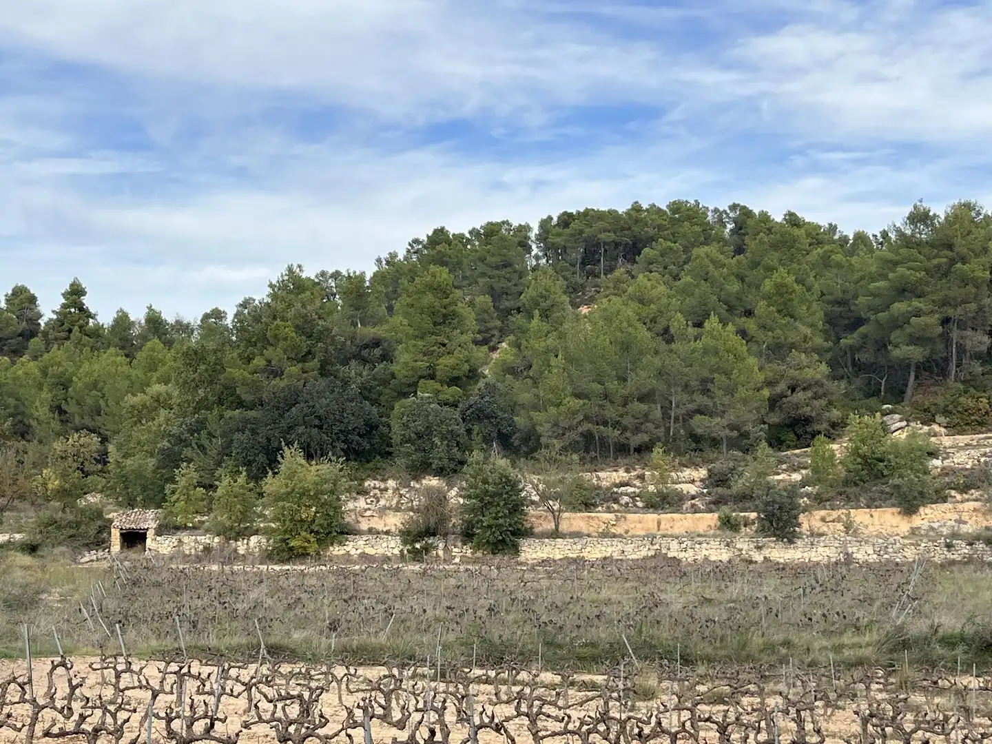 Terreni e lotti in vendita a Lledó, imagen 2