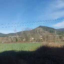 Finca rústica en venta en Massanes
