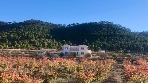 Foto 3 de Casa o chalet en venta en El Pinós / Pinoso, Alicante