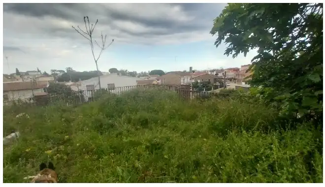 Terreny residencial en venda a Pinemar, imagen 9