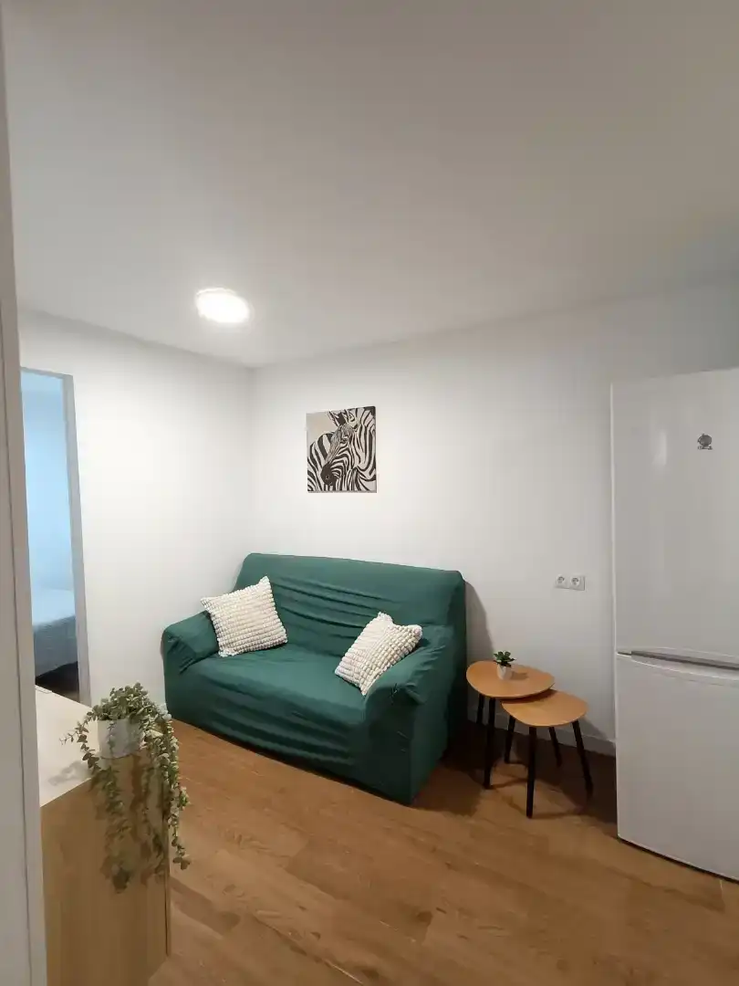 Wohnzimmer von Wohnungen zur Miete in Casco Antiguo
