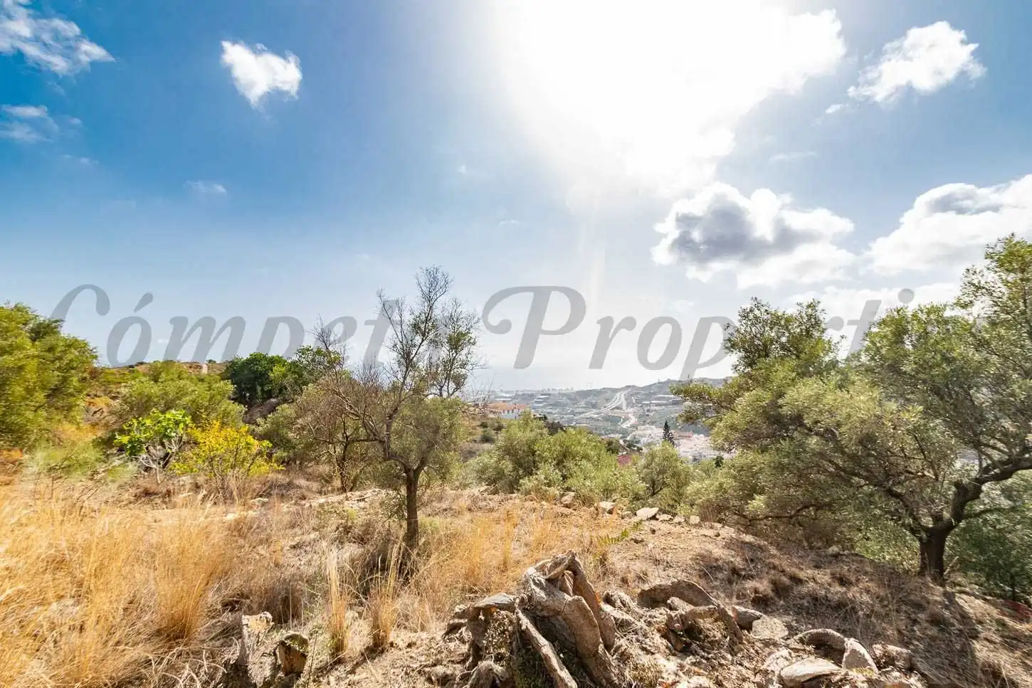 Terreno rústico en venta en Torrox Pueblo, imagen 11