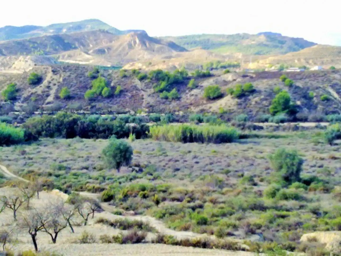 Terreno residenziale in vendita a Campo de Murcia, imagen 5