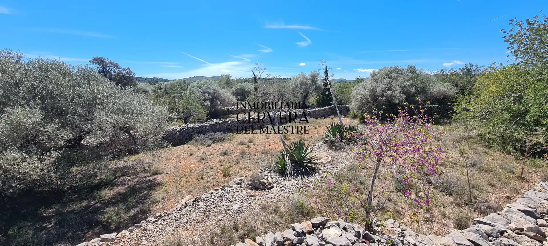 Terreno rustico in vendita a Cervera del Maestre, imagen 4