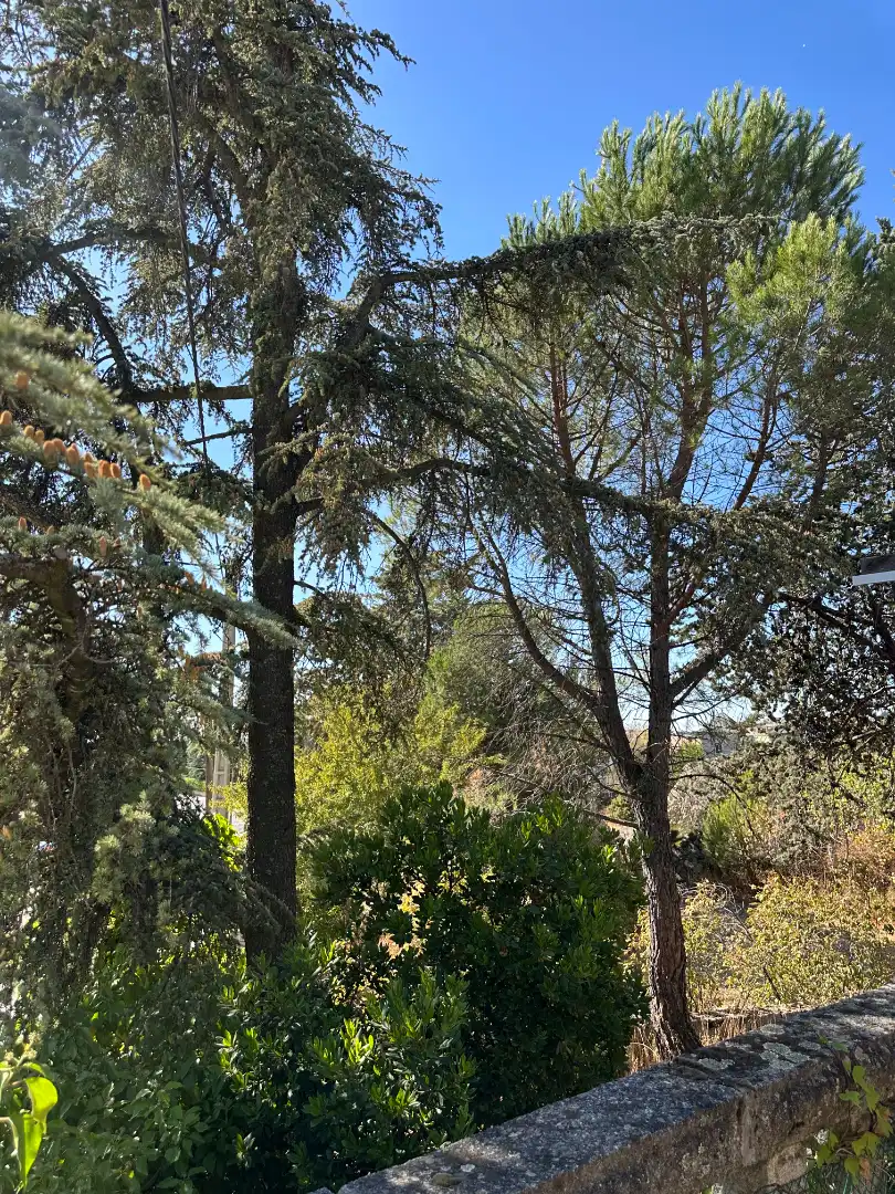 Jardí de Casa o xalet en venda en Hoyo de Manzanares amb Jardí privat i Balcó