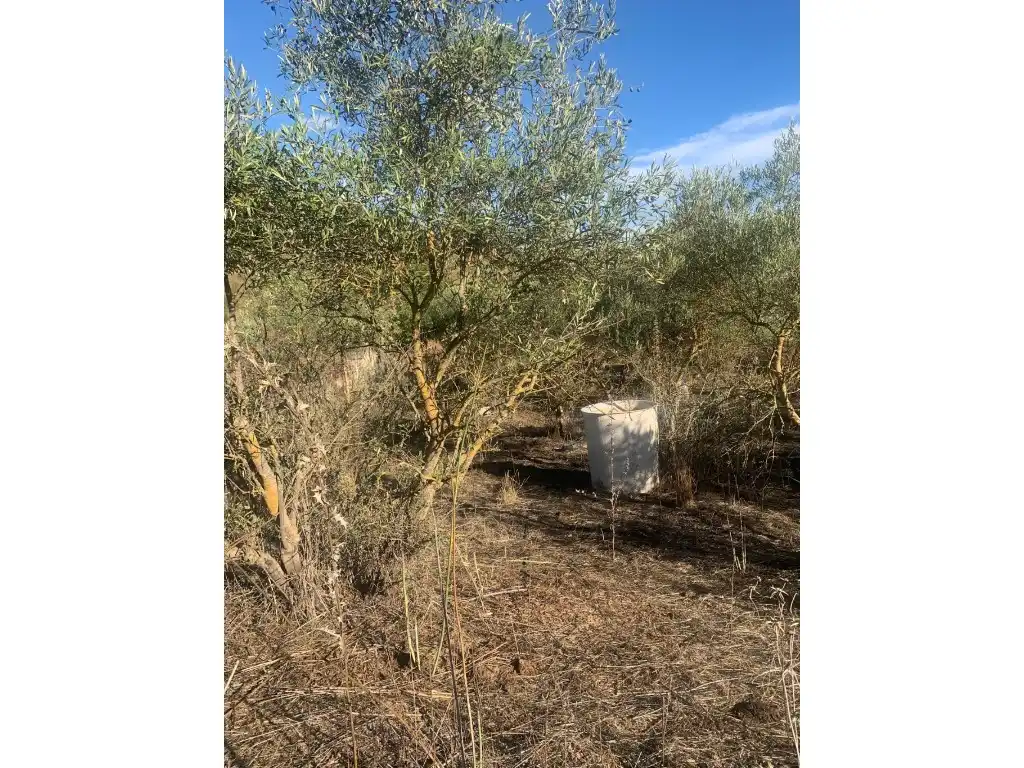 Residential for sale in Morón de la Frontera