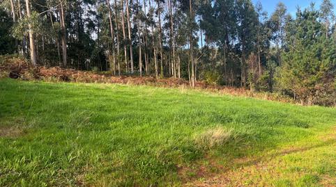 Foto 3 de Finca rústica en venda a Silvalonga, San Sadurniño, A Coruña