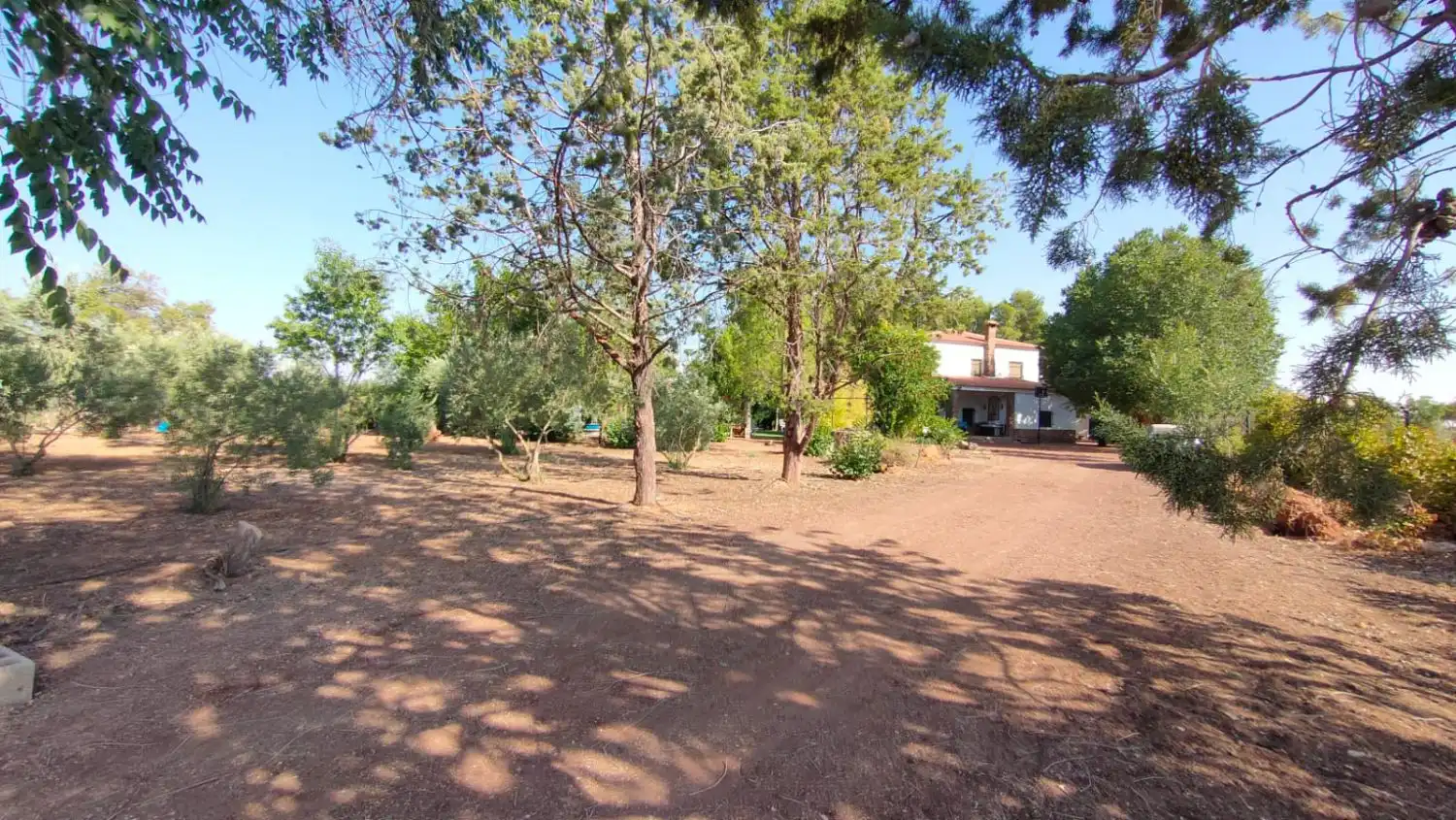 Casa rústica en venda a Valdepeñas, imagen 20