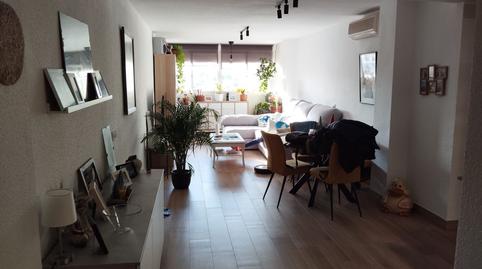 Photo 3 of Apartment for sale in Colonia Madrid, Benidorm