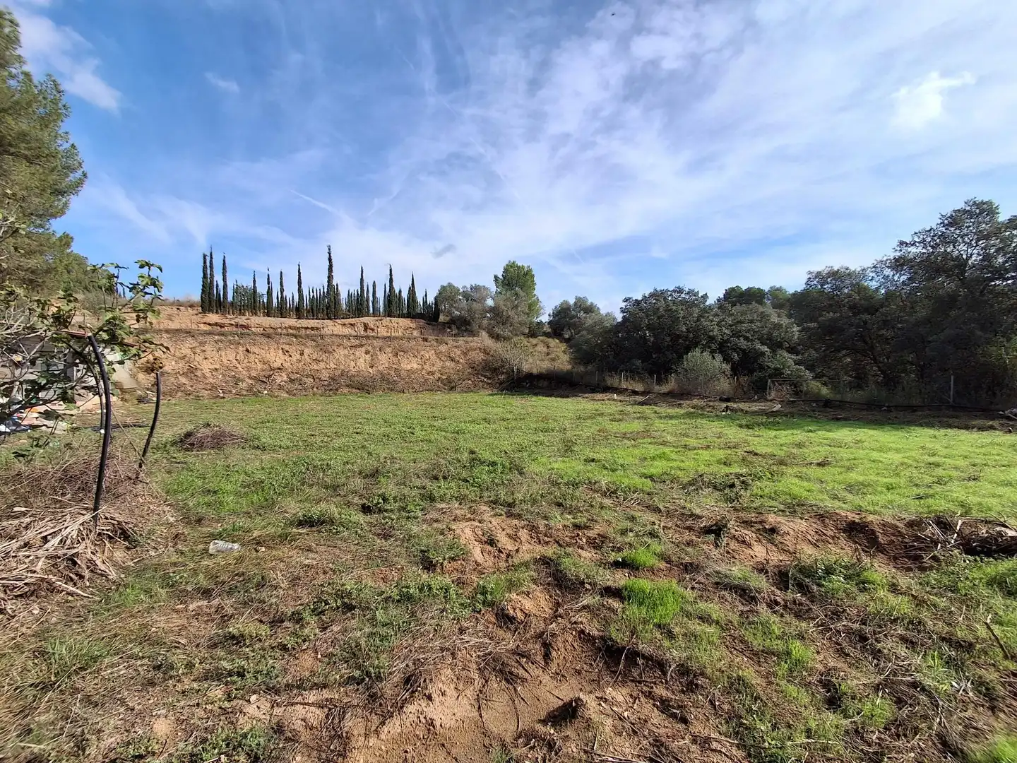 Rural land for sale in Ginestar, imagen 44