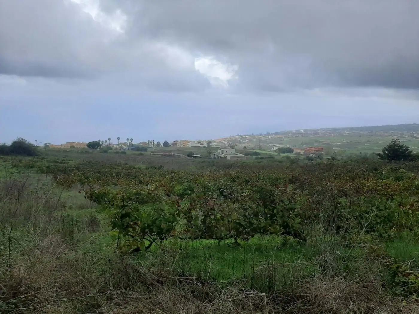 Terreny rústic en venda a CRUZ DE LEANDRO, imagen 12