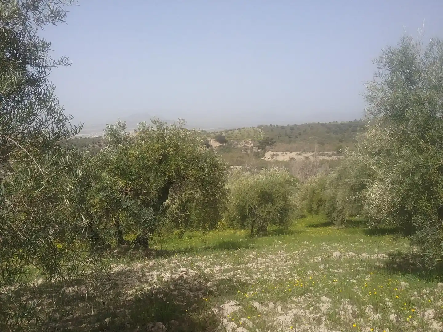 Land for sale in  Granada Capital