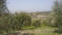 Land for sale in  Granada Capital