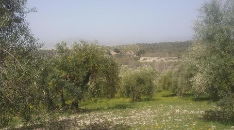 Foto 2 de Terreno en venta en La Paz,  Granada Capital