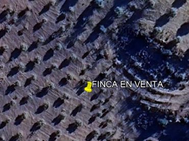 Rural land for sale in Quesada