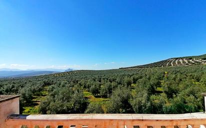 Jardí de Casa adosada en venda en Archidona amb Terrassa i Balcó