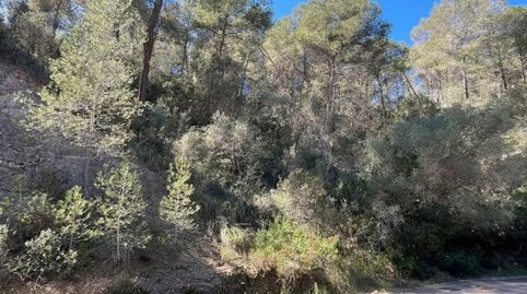 Foto 2 von Grundstücke zum Verkauf in Costa d'en Blanes, Calvià