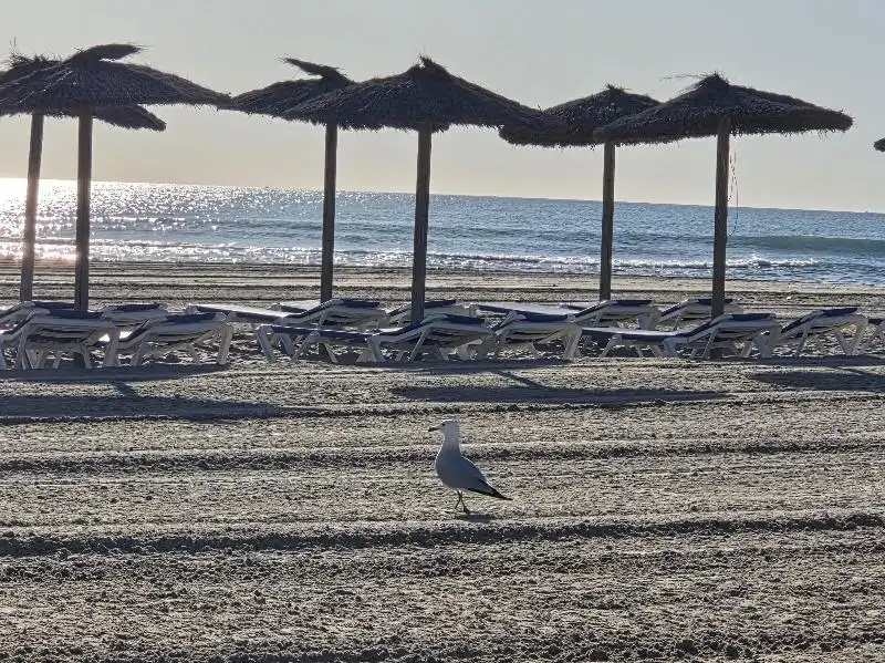 Chalet con piscina en venta en Orihuela Costa, imagen 53