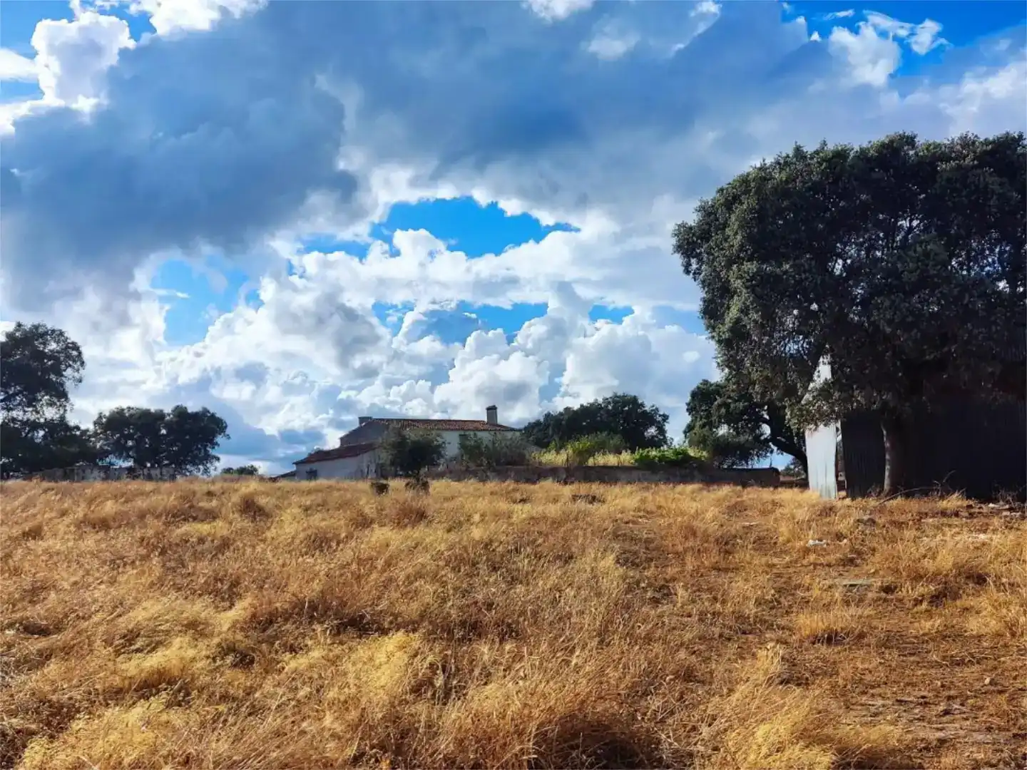 Terreno en venta en Santa Olalla del Cala