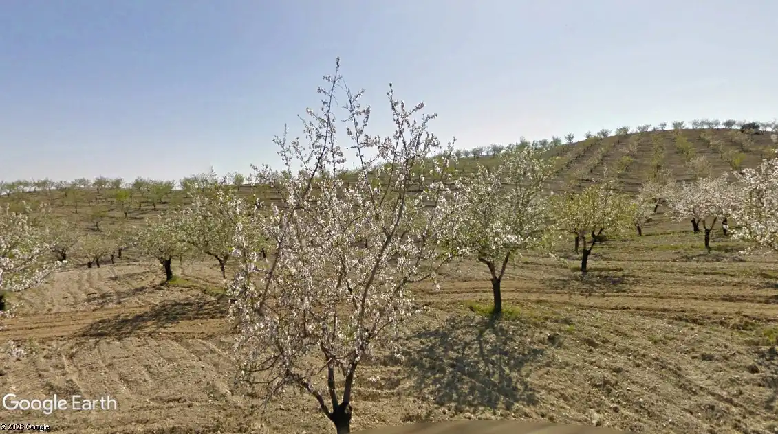 Terreno rustico in vendita a Taberno, imagen 3