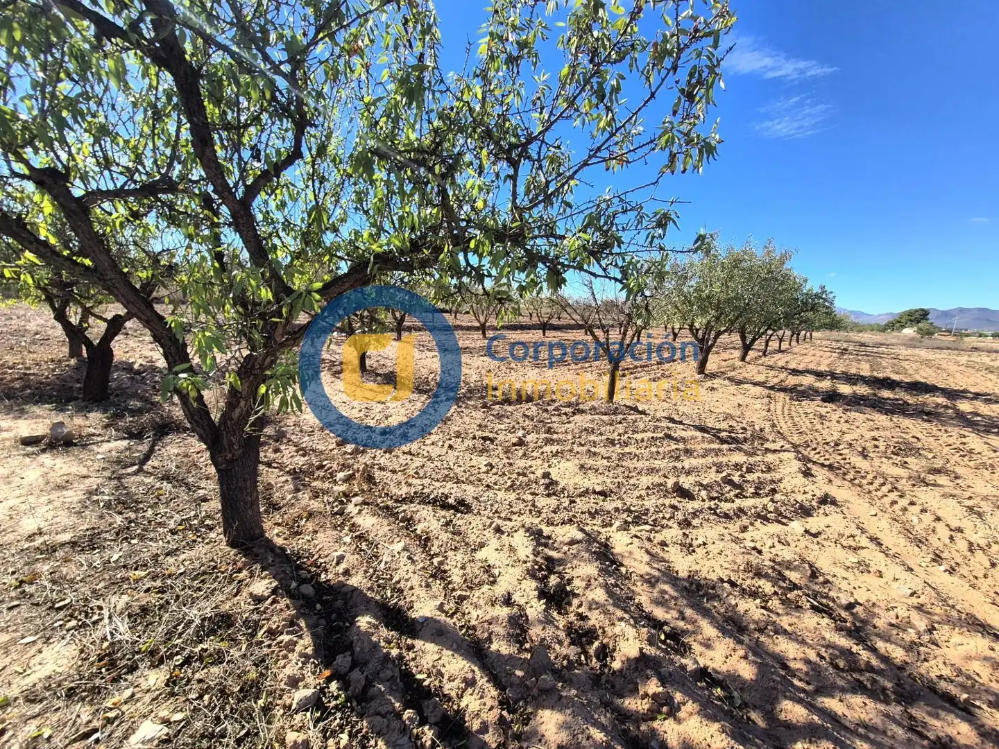 Terreny residencial en venda a Pedanías Sur