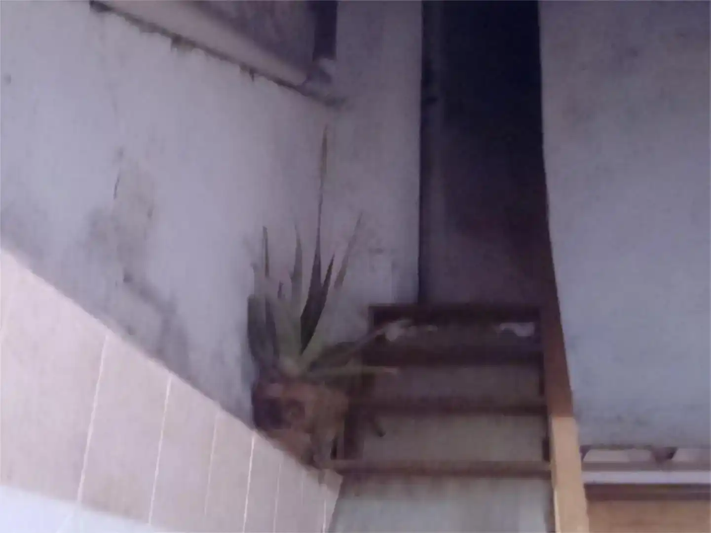 Terrassa de Pis en venda en Zalamea de la Serena amb Traster i Balcó