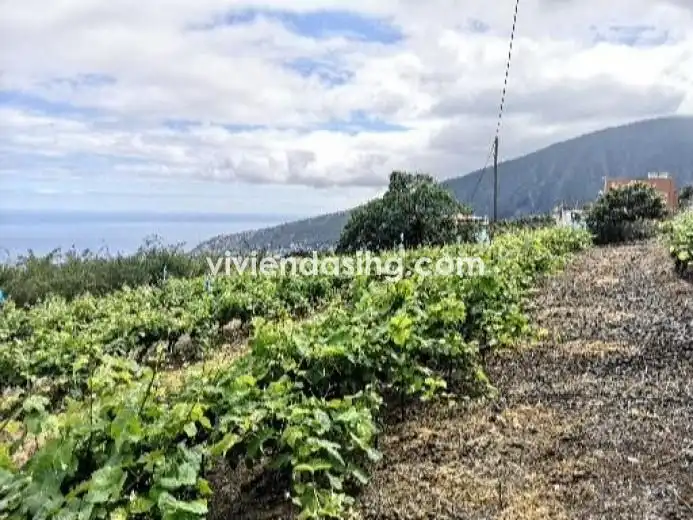 Finca rústica en venda en La Orotava amb Parquet, Terrassa i Traster