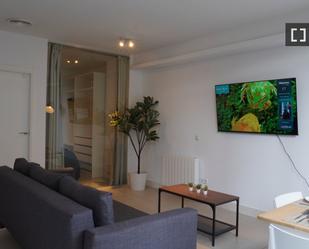 Living room of Flat to rent in  Madrid Capital  with Air Conditioner, Heating and Furnished
