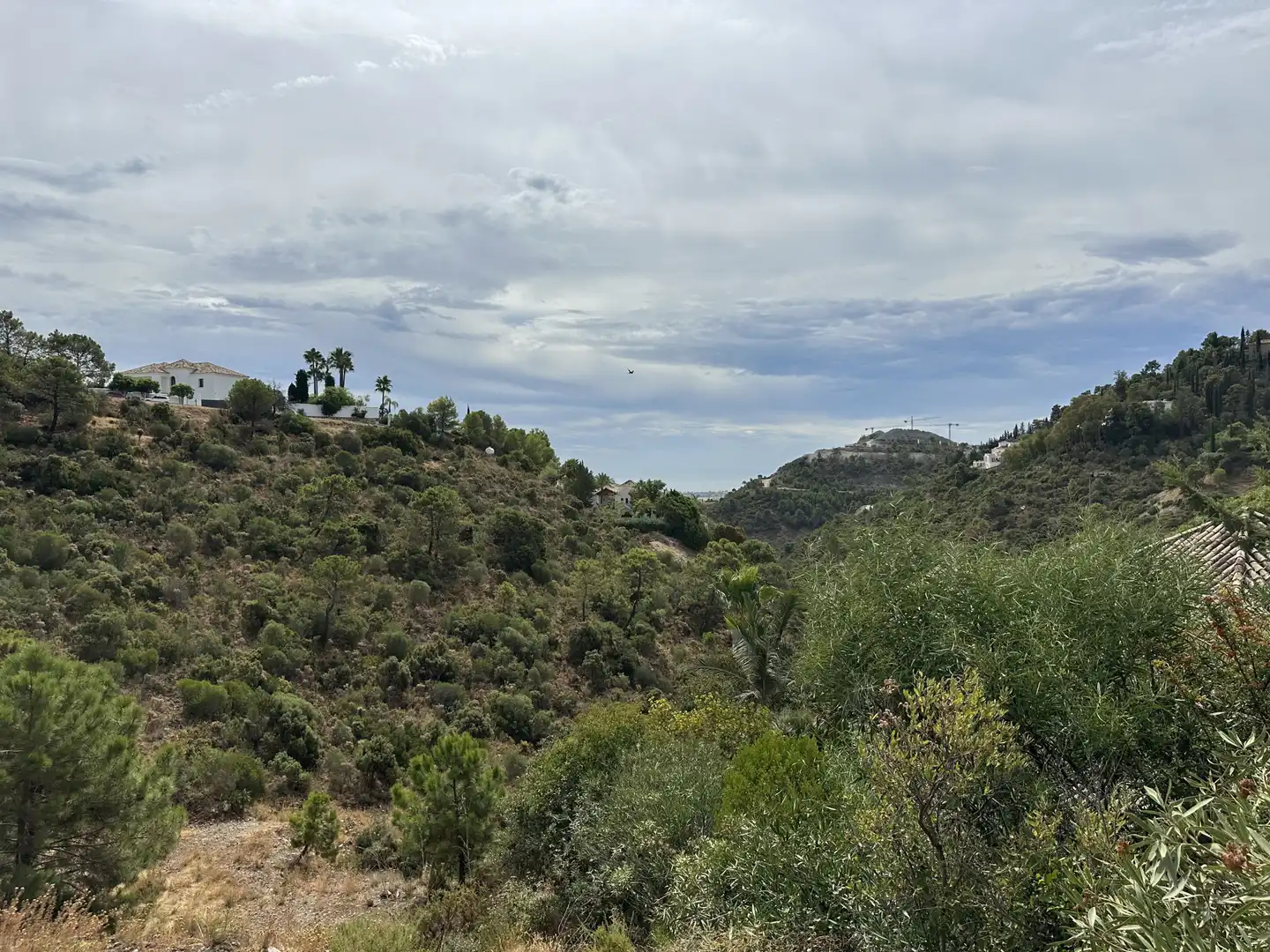 Terreni e lotti in vendita a El Madroñal