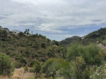 Terreni e lotti in vendita a El Madroñal
