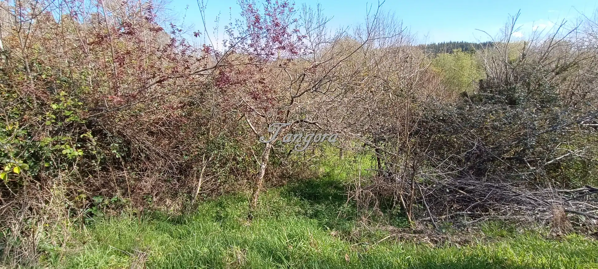 Finca rústica en venda en Morga amb Jardí privat i Balcó