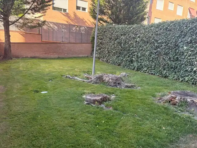 Garten von Dachboden zum Verkauf in Yebes mit Klimaanlage, Heizung und Terrasse