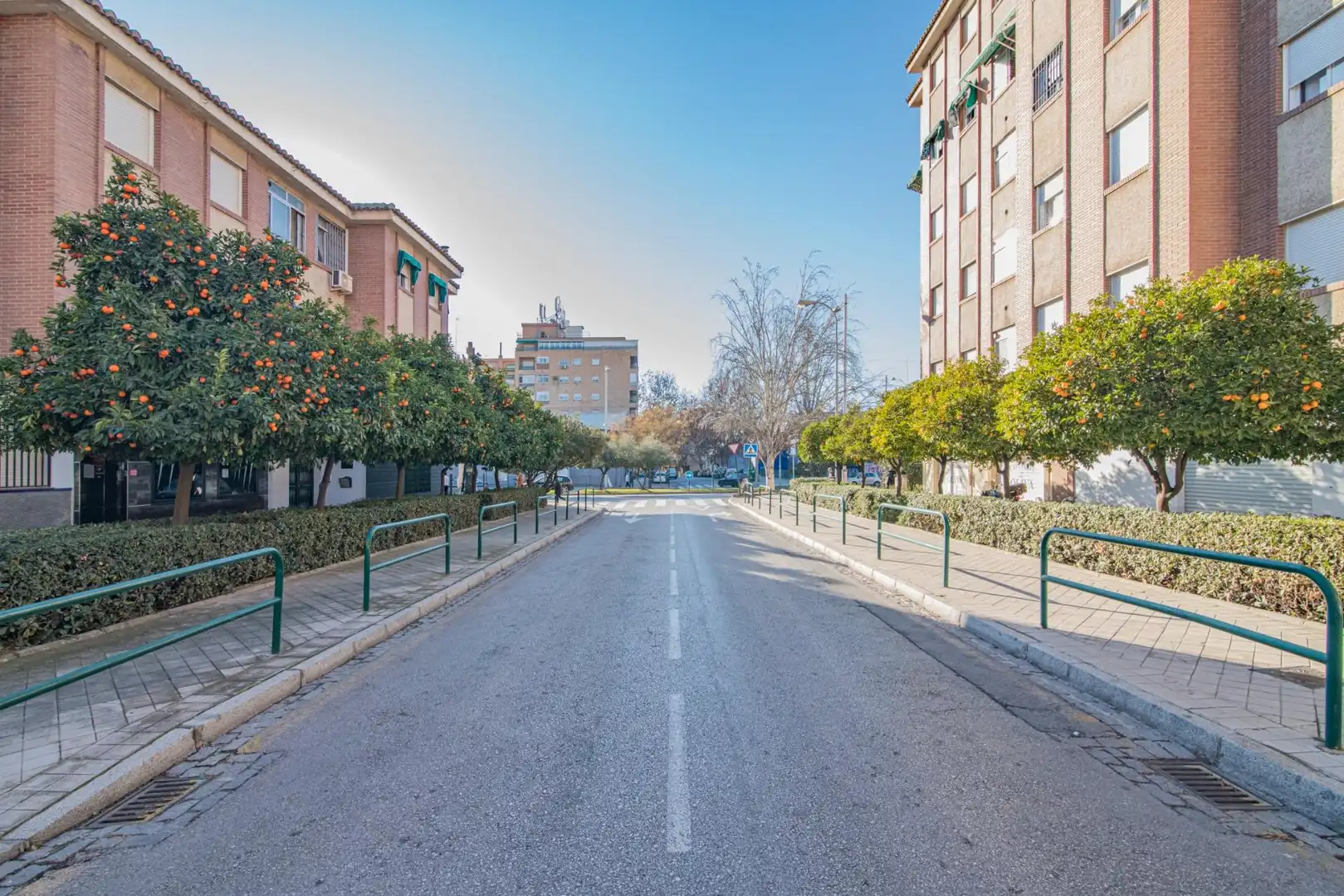 Flat for rent in San Francisco Javier