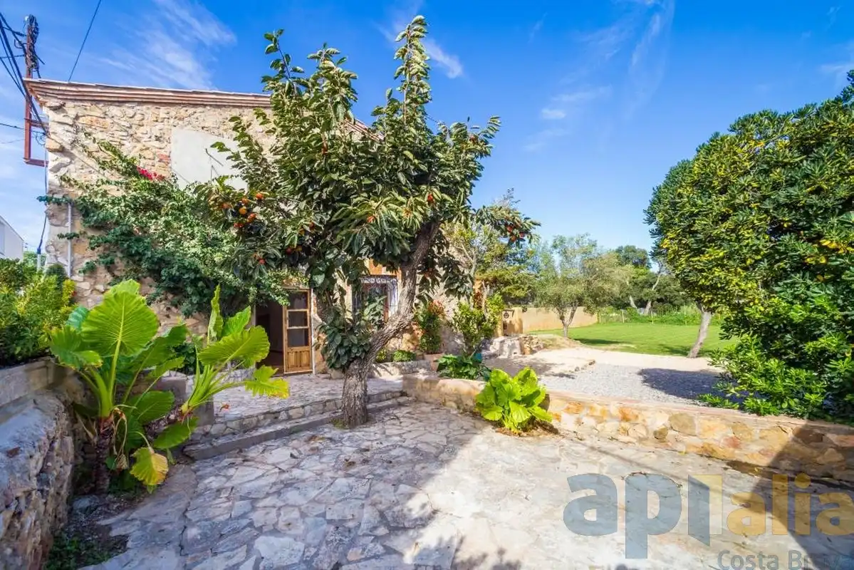Finca rústica en venta en Carrer Marieta, Puig Ses Forques - Torre Colomina